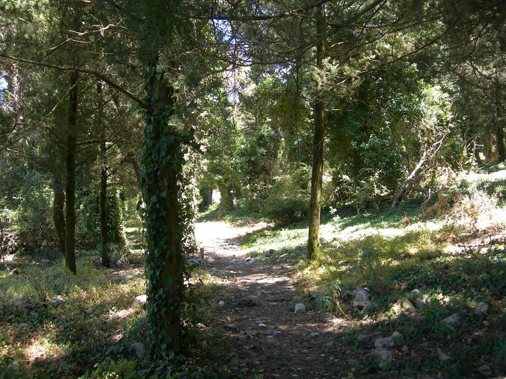 Ostello Cielo D'אלקאמו מראה חיצוני תמונה