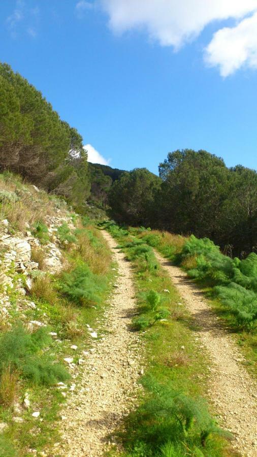 Ostello Cielo D'אלקאמו מראה חיצוני תמונה
